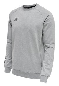 Felpa grigia con maniche lunghe, scollatura rotonda, design a raglan e polsini a coste. Presenta un piccolo logo sul petto e dettagli a motivi.