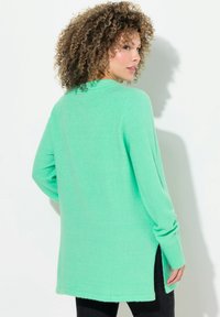 Ljusgrön långärmad tröja med mjuk textur. Har sidokilar nära nederkanten och rundad halsringning. Visad bakifrån.