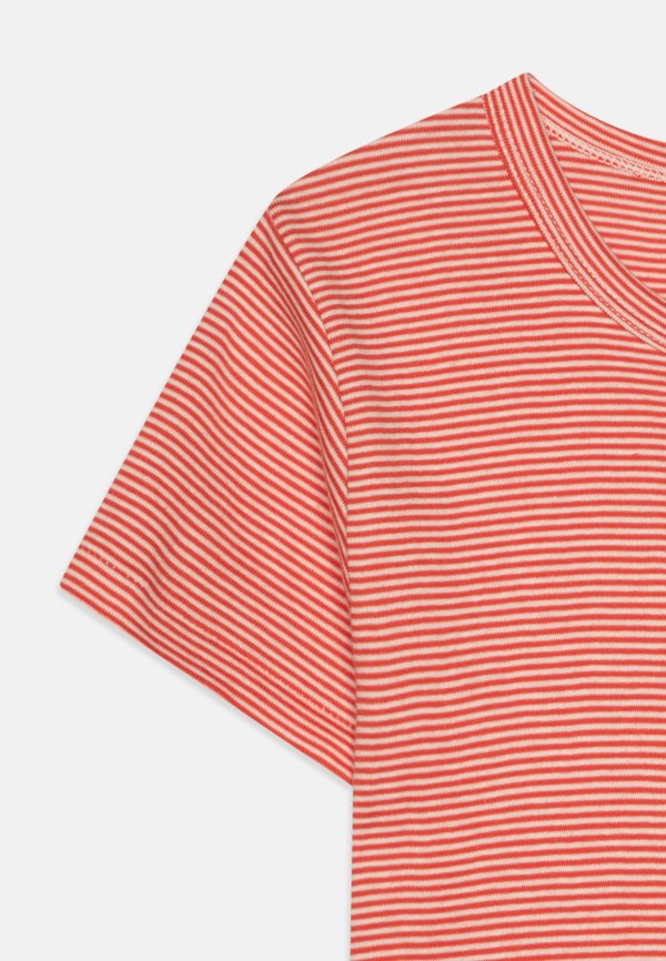 KIDS TEE DINO 3 PACK - Undershirt4