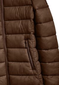 Polo Club Winter jacket - brown