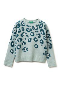Maglione lavorato a maglia di un blu chiaro con stampa leopardata in teal scuro e bianco. Presenta un collo a giro e polsini e orlo a coste. Design corto.