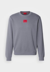 DIRAGOL - Sweatshirt - grey