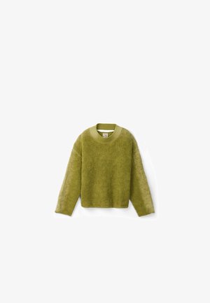 Maglione verde peloso realizzato in materiale morbido, con collo a girocollo a costine e maniche lunghe, caratterizzato da un'orlo leggermente accorciato.