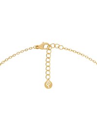 Kuldne kett käevõru, millel on homaariklambri tüüpi lukk, reguleeritava pikkusega ja ümmargune silt sümboliga lisadetailiks.