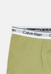 Boxer-briefs vert clair avec une ceinture blanche arborant un texte noir. Le tissu semble doux avec une texture lisse.
