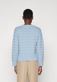 Maglione lavorato a maglia di colore azzurro chiaro con righe orizzontali, orlo a coste e maniche lunghe. Motivo testurizzato visibile sul tessuto.