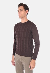 Maglione a trecce marrone con polsini e orlo a coste. Maniche lunghe, scollo rotondo, con un motivo testurizzato su tutta la superficie.