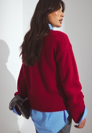 Sarkans adīts džemperis ar ribotu apakšmalu un plašām piedurknēm, uzvilkts virs gaiši zilas krekla. Tur rokā melnu ādas kluču. Gluda tekstūra.