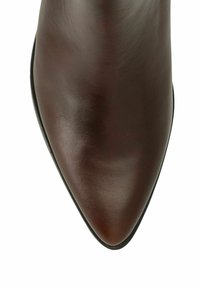 Botte pointue en cuir marron avec une finition lisse et brillante et une forme épurée. Dotée d'une semelle noire et de quincaillerie minimale.
