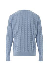 Hellblaues, kabelgestricktes Sweatshirt mit einem gerippten, runden Ausschnitt und Bündchen. Hat vertikale Textmustern und eine lockere Passform. Rückansicht gezeigt.