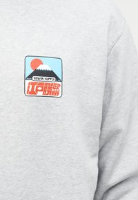 Γραφικό σε γκρι λεπτό ύφασμα δείχνει στυλιζαρισμένο βουνό με χιονοσκεπή κορυφή και κόκκινο ήλιο, με το κείμενο "EDWIN SUPPLY" πάνω από κόκκινους στυλιζαρισμένους χαρακτήρες κάτω.