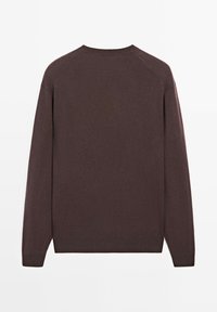 Maglione marrone a maniche lunghe con scollatura rotonda, caratterizzato da una texture liscia e maniche raglan. Design semplice senza motivi o decorazioni.