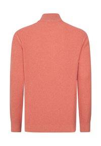 Rippstrick-Pullover aus Koralle mit hohem Kragen und langen Ärmeln. Die Stoffstruktur wirkt weich und gestrickt und besitzt ein nahtloses Rückendesign.