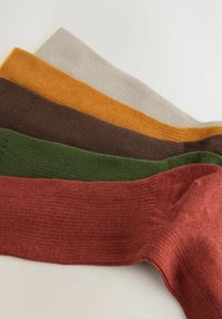 Next 5 PACK REGULAR FIT - Ponožky - red green brown