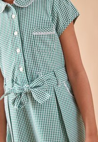 Groen-witte geruite jurk met korte mouwen, knopen aan de voorkant, een klein borstzakje en een strikceintuur. Rok met geplooide details.