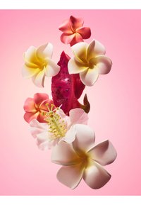 Thumbnail Image 7