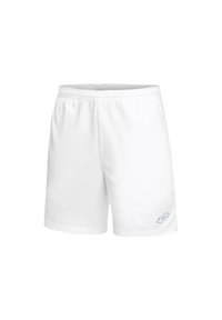 SQUADRA III 7IN - Pantalón corto de deporte - weiss