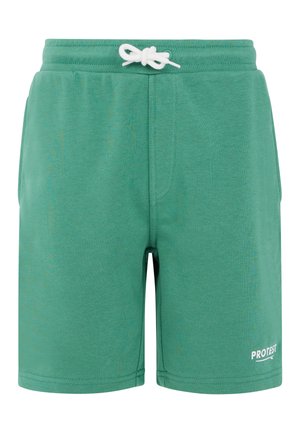 PRTCLINT JR - Pantaloni sportivi - frosty green