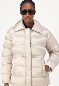 Calvin Klein JACKET - Winter jacket - gray morn