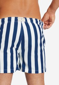 Blau-weiße gestreifte Badeshorts mit einem elastischen Bund, ausgestattet mit einem Etikett auf der Rückseite, das ein glattes, leichtes Material hervorhebt.