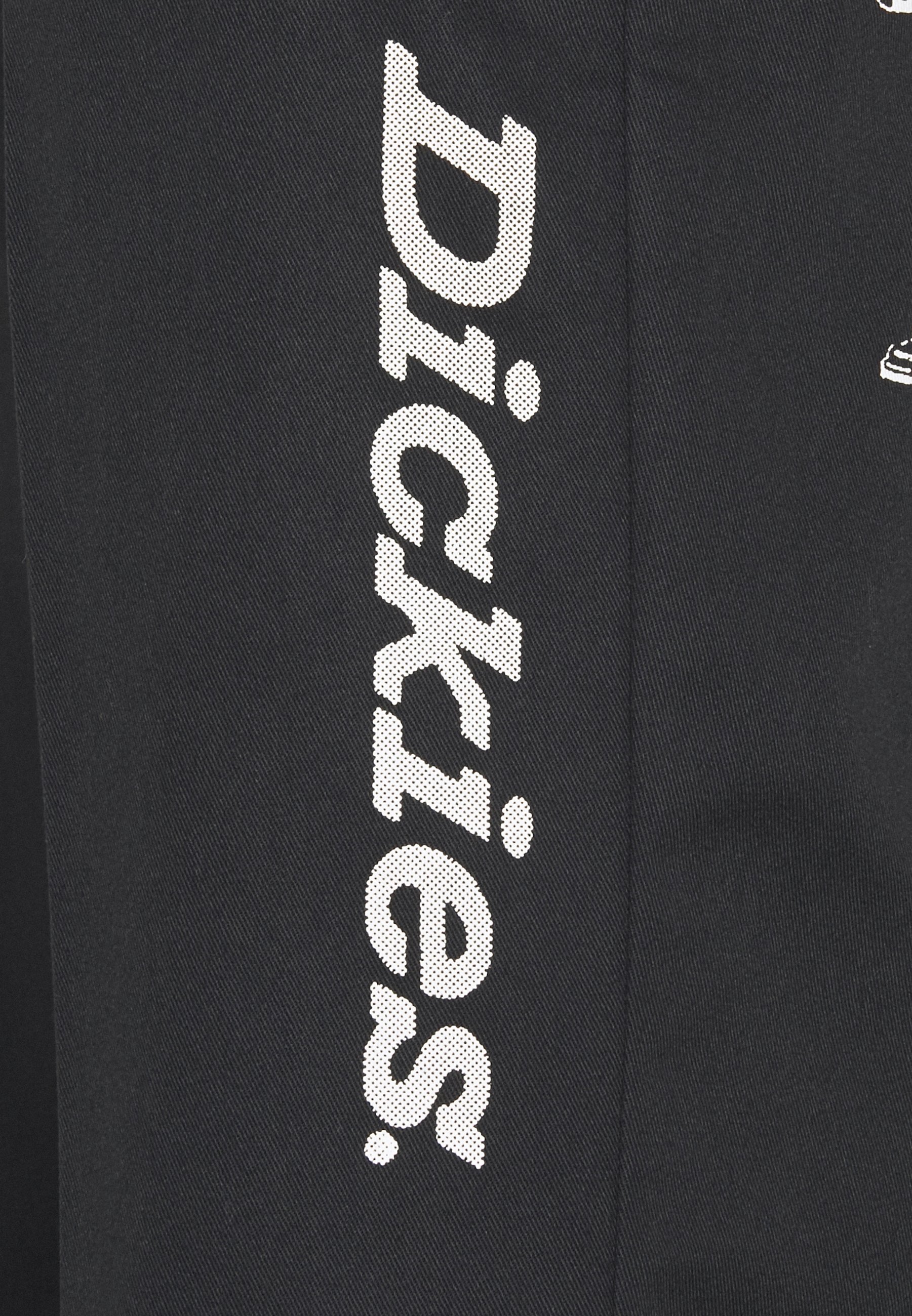 Dickies PILLAGER PANT - Trousers 