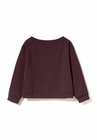 Borde sweatshirt, lõdva lõikega, ümmargune kaelus, pikad varrukad, ribasi lõhed ja hem, pehme kangas, ühtlane värv, minimalistlik disain.