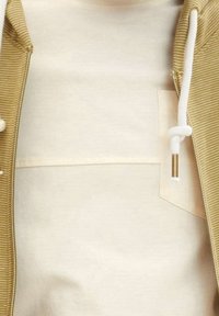 TOM TAILOR Sudadera con cremallera - light green