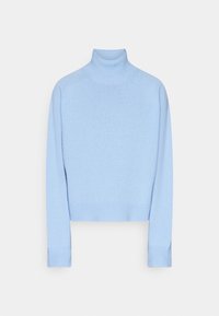 Pull à col roulé bleu clair en tissu maille douce. Il présente des manches longues ainsi qu’un ourlet et des poignets côtelés. Design simple et court.