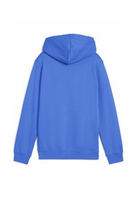 Felpa blu con cappuccio, mostrata da dietro, con maniche lunghe e una texture semplice e liscia.