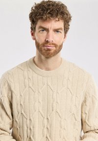 Maglione beige a maglia rasata con scollo rotondo, caratterizzato da fantasie testurizzate e un aspetto morbido simile alla lana.