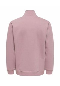 Rozā džemperis ar augstu apkakli, garām piedurknēm un ribveida aprocēm un apakšu. Gluda tekstūra bez redzamām rakstiem vai metāla detaļām.