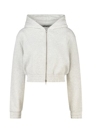 America Today, CARDIGAN - Sweater met rits - light grey
