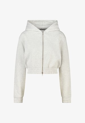 America Today, CARDIGAN - Sweater met rits - light grey