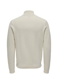 Only & Sons ONSPHIL HALF ZIP  - Maglione - weiß
