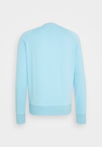 Sudadera azul clara con mangas largas, puños acanalados y cuello redondo. Textura suave y diseño sencillo sin estampados.