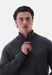 Grauer Reißverschluss-Pullover mit hohem Kragen und marineblauen Akzenten am Hals und an den Bündchen. Aus gestricktem Material mit strukturierter Oberfläche.