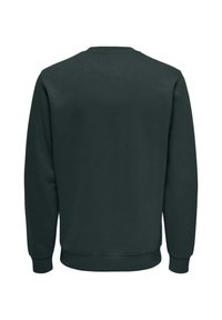 Felpa verde scuro, con collo rotondo, maniche lunghe, realizzata in tessuto morbido, con polsini e orlo a costine, texture liscia, design semplice.