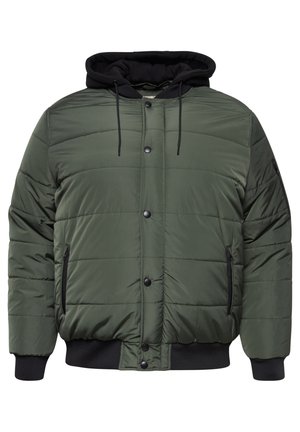 Padded jacket in dark green, featuring a black hood, snap button closure, side pockets, ribbed cuffs, and a quilted texture.