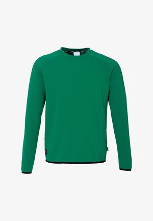 Grøn langærmet sweatshirt lavet af et glat stof. Har en rund hals, raglanærmer og sorte accenter langs kanten og manchetterne.