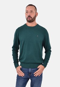 Grüner Pullover mit rundem Halsausschnitt, langen Ärmeln und kleinem Logo auf der Brust. Getragen mit blauer Jeans, vor einem weißen Hintergrund präsentiert.