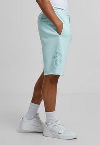 Lys blå sweatshorts med lommer, elastisk midje og dekorativ paisley broderi på venstre ben. Stylet med hvite sneakers.