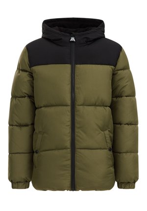 Winterjas - mottled green