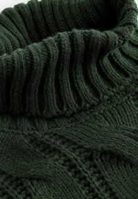 Mørkegrøn strikket sweater med en ribbet, høj hals og teksturerede mønstre, der fremviser et blødt, luksuriøst uldmateriale og indviklede strikkedetaljer.