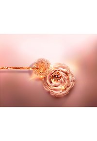 Immagine in miniatura 5