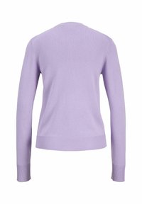 Lichtpaarse gebreide trui met lange mouwen, ronde hals en geribbelde manchetten en zoom. Zachte textuur, minimalistisch ontwerp, zonder patronen of versieringen.