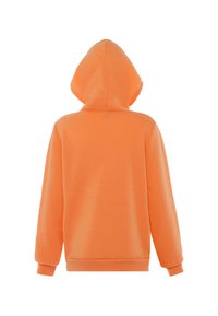 Orange hoodie i blødt materiale med lange ærmer, kengurulomme og ribbede manchetter og kant. Bageste udsigt vist.
