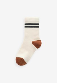 Next RICH 5 PACK - Calze - earthy tipped stripes