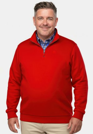 HALF-ZIP STAND-UP COLLAR - Sudadera - bright red