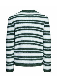 Pull tricoté avec des rayures horizontales vertes, blanches et bleu clair, manches longues, ourlet et poignets côtelés vus de dos.