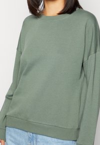 Felpa verde chiaro con maniche lunghe, scollatura rotonda e orlo a coste. Realizzata in tessuto morbido con una consistenza liscia. Design casual.